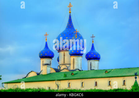 La cathédrale de la Nativité de la Vierge Marie au Kremlin de Souzdal, Russie Banque D'Images