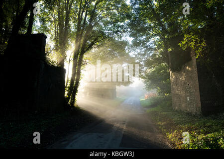 Tôt le matin, du soleil à travers la brume à travers une route de campagne dans les Cotswolds. Chipping Norton, Oxfordshire, Angleterre Banque D'Images