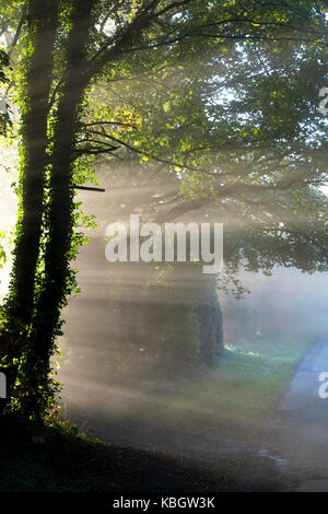 Tôt le matin, du soleil à travers la brume à travers une route de campagne dans les Cotswolds. Chipping Norton, Oxfordshire, Angleterre Banque D'Images