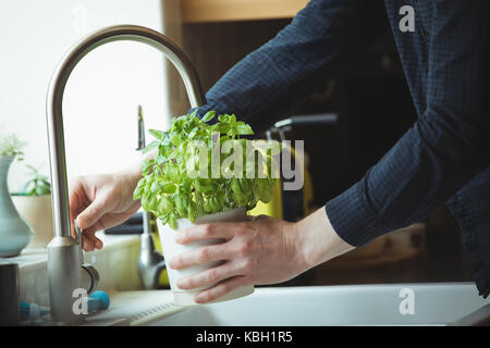 Mid section of man watering plant in kitchen Banque D'Images