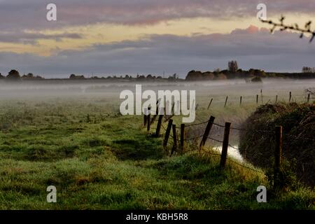 Lever du soleil sur les champs de Somerset Yeovilton. Le soleil clair dans l'heure d'or. Silhouettes des arbres. Au petit matin brumeux. Un voyage paisible. Banque D'Images