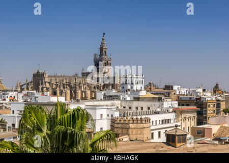 À la recherche sur les toits de Séville Banque D'Images
