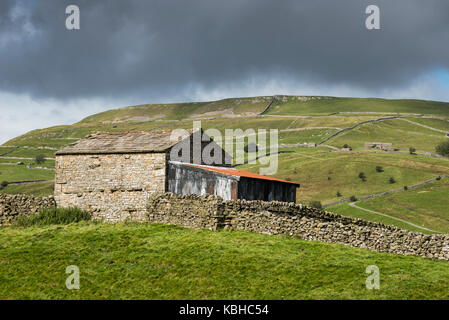 Belle campagne autour de muker dans swaledale, vallées du Yorkshire, Angleterre. présentant les granges traditionnelles ou "maisons de vache' 'cow'usses'. Banque D'Images