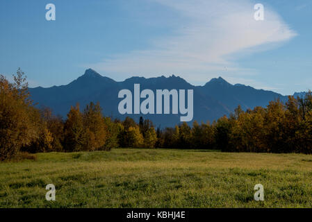 Verte prairie entourée d'arbres avec vue sur la montagne en arrière-plan Banque D'Images