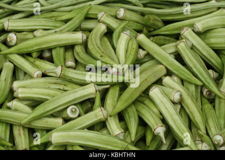 L'okra Schoten - Doigts de dame auf einem Markt Banque D'Images