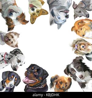 Groupe de chiens de races différentes portraits (rottweiler, border collie ; toy terrier, Pembroke Welsh Corgi, sheltie,yorkshire terrier, Greyhound, italien Illustration de Vecteur