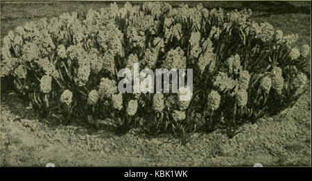 "Fruits, légumes et fleurs, un manuel technique pour leur culture" (1918) Banque D'Images