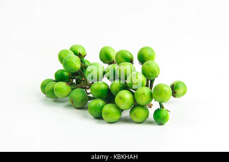 Solanum torvum ,Turquie berry sur fond blanc . Banque D'Images