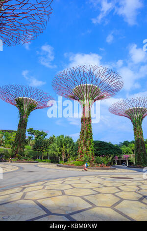 Singapour - Aug 21, 2017 : visite touristique non identifiés supertree des jardins de la baie à Singapour le 21 août 2017 Banque D'Images