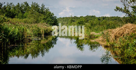 Dans les Weerribben en Hollande Banque D'Images