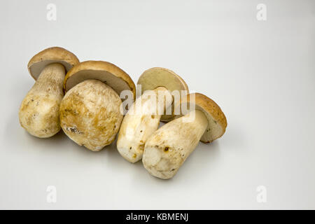 Quatre jeunes cèpes frais (Boletus edulis) isolé sur fond blanc. fermer, vue horizontale. Banque D'Images