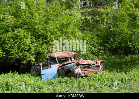 Vieille voiture rouillée au jardin Banque D'Images