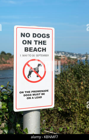 "Pas de chiens sur la plage' signe à Paignton, Devon, UK avec Tor Bay n'est pas mise au point en arrière-plan. south west coast path, Banque D'Images