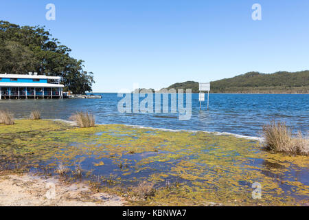 Délicieuse café et restaurant sur Smiths Lake, un des grands lacs sur le milieu de la côte nord de la Nouvelle-Galles du Sud, Australie Banque D'Images