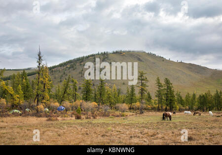 Camping dans le nord de la toundra mongole Banque D'Images
