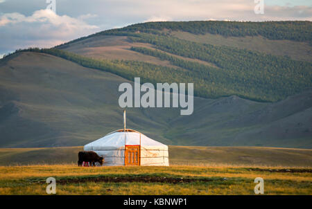 Famille mongole gers dans un paysage du nord de la Mongolie Banque D'Images