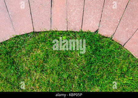 L'herbe et chaussée de pierre texture. forme du cercle fleur lit élément de décoration Banque D'Images