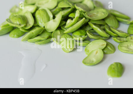 Le fresh parkia sur fond blanc qui est puant tropical haricots comestibles, Thaïlande Banque D'Images