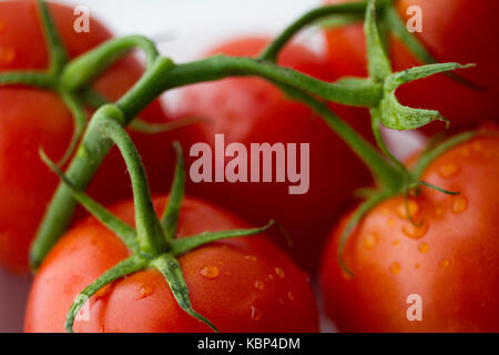 tomates Banque D'Images