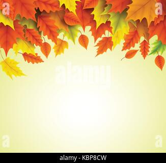 Automne fond modèle vectoriel de l'orange et le jaune des feuilles d'érable relevant pour la saison automnale avec espace vide pour le texte. vector illustration. Illustration de Vecteur