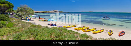 Des picknickers et des kayakistes sur une plage de Penguin Island où les touristes viennent voir la colonie de pingouins et d'autres animaux sauvages. Banque D'Images