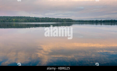 Morning Sunrise reflétant la couleur sur grand lac avec des arbres en arrière-plan Banque D'Images
