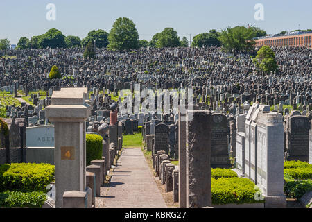 Pierres tombales au Cimetière Mount Zion à Maspeth, Queens. Banque D'Images