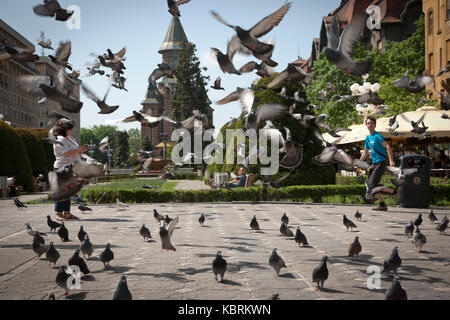 Timisora, Roumanie - mai, 4 : pigeons volant à la place Unirii à Timisoara, Roumanie le 4 mai 2013. Banque D'Images