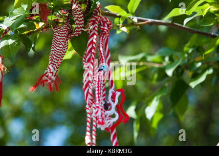 Le rouge et le blanc cuisine bulgare martenitsa hanging on tree branch Banque D'Images