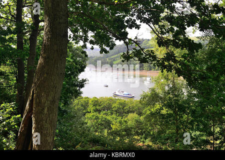 Une fenêtre dans les arbres, avec des bateaux amarrés le long de la rivière Dart près de Dartmouth. Banque D'Images