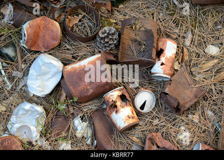 Les boîtes en fer vieux dispersés à même le sol forestier Banque D'Images