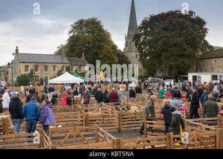 Masham, North Yorkshire, UK 30 septembre 2017. Les moutons historique masham tenue sur 2 jours chaque année dans les villes place du marché voit les concurrents et les juges de l'Angleterre, Ecosse, Irlande et Pays de Galles. Andrew fletcher/Alamy live news Banque D'Images