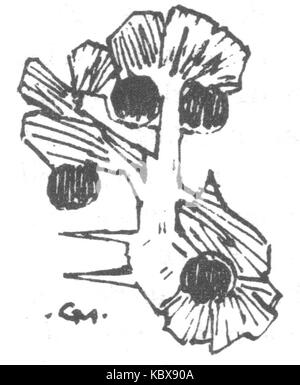 Ynglingesaga 5 fait partie de la série de saga nordique illustrée par Gerhard Munthe, qui dépeint les histoires légendaires et mythologiques des anciens peuples nordiques. Ce volume comprend des œuvres d'art très détaillées représentant la culture viking, des personnages mythologiques et des événements historiques, visant à capturer l'essence de l'histoire et du folklore nordiques. Banque D'Images