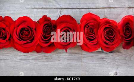 Roses sur un banc en bois patiné Banque D'Images