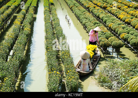 Deux dames avec les costumes traditionnels (ao ba ba) sont dans un bateau au champ de fleurs flottant dans sa dec, Dong Thap, Vietnam. Banque D'Images