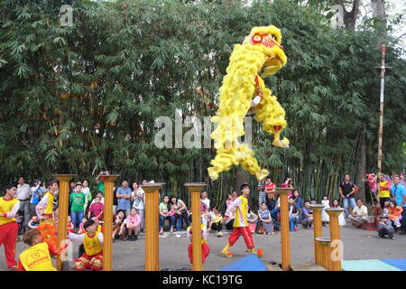 Saigon - Dec 03, 2014 : la danse du lion sur piliers de fleurs (ami hoa thung) au parc tao dan, Ho Chi Minh City, Vietnam à la nouvelle année lunaire. Banque D'Images