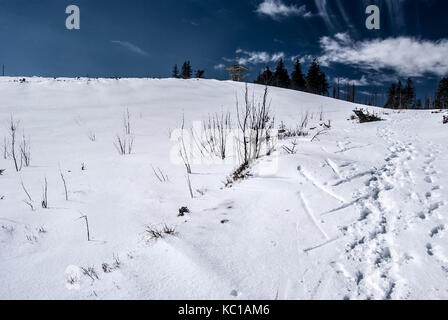 Barania gora hill avec snow et tour panoramique dans les montagnes beskides de Silésie près de wisla resort durant la journée d'hiver avec ciel bleu et quelques nuages Banque D'Images