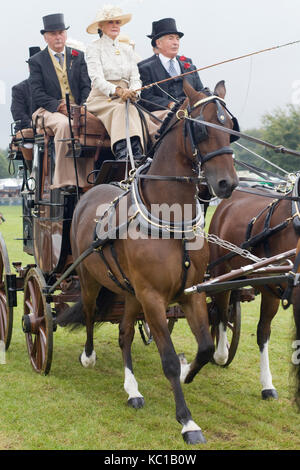 Un dessin chevaux 8 places transport omnibus victorienne Banque D'Images