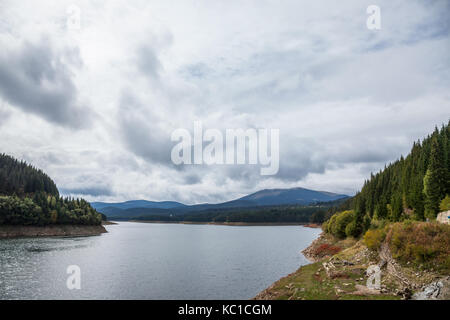 Le sapin et les autres arbres de pin sur les montagnes près de vieillesse (lac lacul vieillesse) sur une fin de l'été/automne après-midi surplombant une vallée dans l'un de Transylvanie Banque D'Images