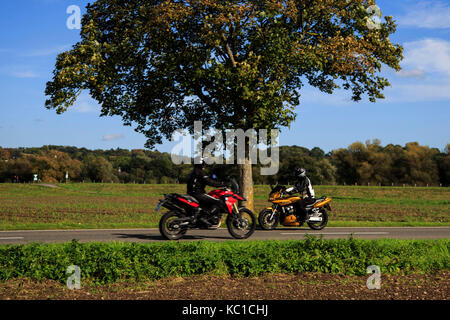 2 Bikers voyageant sur une route de campagne en automne, s'approchant les uns des autres, Mülheim an der Ruhr, Allemagne Banque D'Images