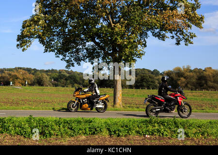 2 Bikers voyageant sur une route de campagne en automne, Mülheim an der Ruhr, Allemagne Banque D'Images