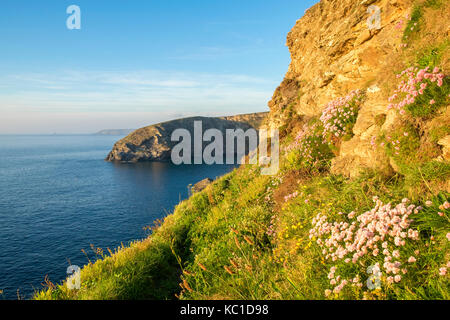 Soleil du soir sur la côte à falaises nord près de portreath à Cornwall, Angleterre, Grande-Bretagne, Royaume-Uni. Banque D'Images