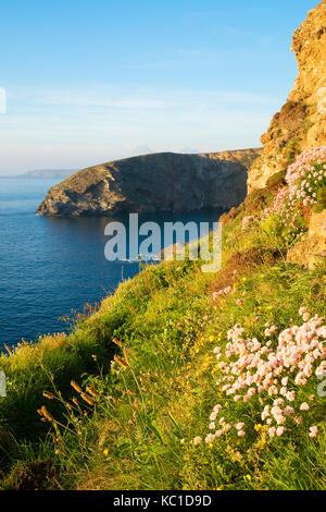 Soleil du soir sur la côte à falaises nord près de portreath à Cornwall, Angleterre, Grande-Bretagne, Royaume-Uni. Banque D'Images