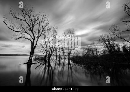 Vue d'exposition long d'un lac, avec des arbres squelettiques, encore de l'eau et de nuages en mouvement Banque D'Images