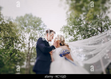 Wedding couple hugs kisses Banque D'Images