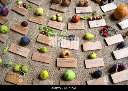 Une table avec de nombreux types de fruits typiquement italien portant le nom de noms italiens dans un marché de Florence Banque D'Images