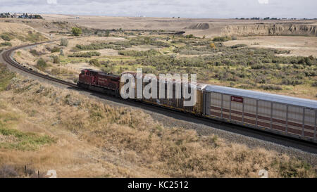 Medicine Hat, Alberta, Canada. Sep 19, 2017. une locomotive tirant un train de marchandises, y compris l'autorack (wagons porte-automobiles), se déplace le long des voies près de Medicine Hat, Alberta. crédit : bayne stanley/zuma/Alamy fil live news Banque D'Images