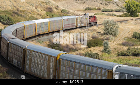 Medicine Hat, Alberta, Canada. Sep 19, 2017. une locomotive tirant un train de marchandises, y compris l'autorack (wagons porte-automobiles), se déplace le long des voies près de Medicine Hat, Alberta. crédit : bayne stanley/zuma/Alamy fil live news Banque D'Images