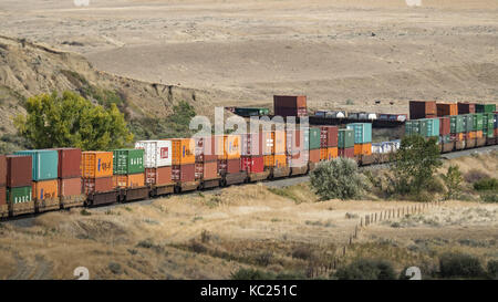 Medicine Hat, Alberta, Canada. Sep 19, 2017. Un train de marchandises du chemin de fer canadien pacifique, y compris le transport intermodal des conteneurs sur des wagons, se déplace le long des voies près de Medicine Hat, Alberta. crédit : bayne stanley/zuma/Alamy fil live news Banque D'Images