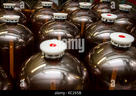 Primator (le maire) brasserie a utilisé 20 litres en plastique transparent appelé petainer comme un contenant de la bière pendant plusieurs années. La brasserie utilise petainers principalement pour l'exportation de la bière à des destinations lointaines comme la Chine, le Chili, le Brésil ou la Russie. animal barils éliminer l'inquiétude au sujet de la collecte et transport retour metal fût barils. sur la photo sont vus en petainers primator brewery à náchod, République tchèque, le 2 octobre 2017. (Ctk photo/david tanecek) Banque D'Images